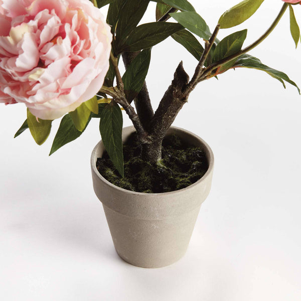 Peony Potted Drop-In 18" - Light Pink