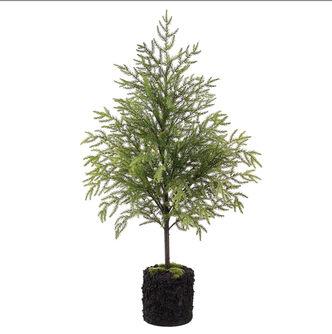 45" Spruce Tree with Soil Base