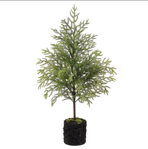 45" Spruce Tree with Soil Base