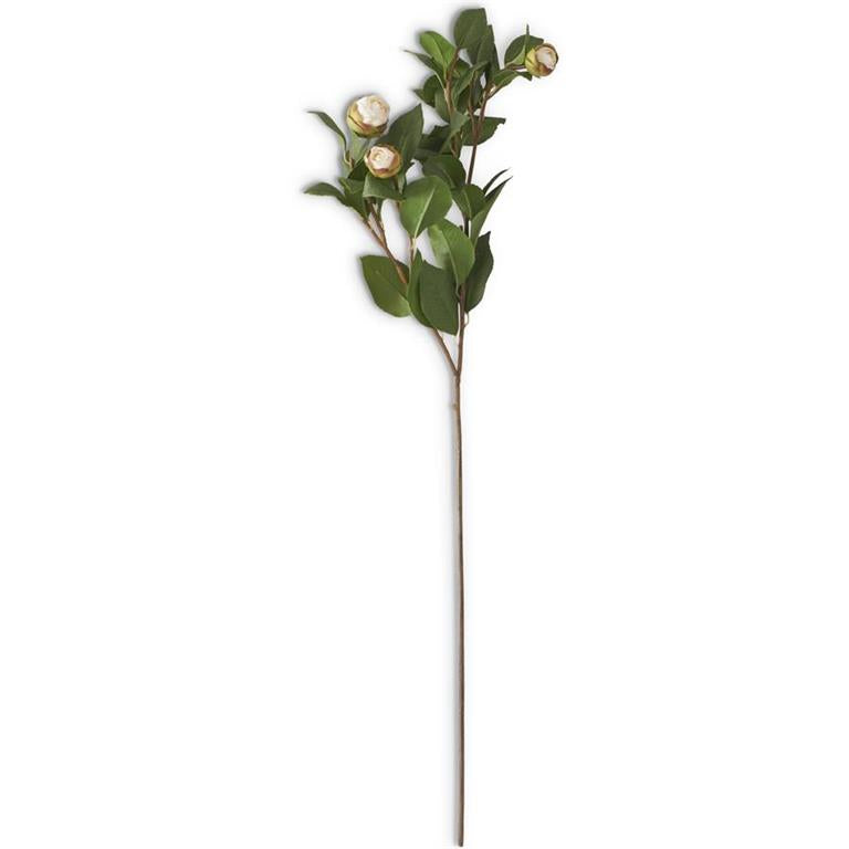 28" White 5 Bud Peony Stem