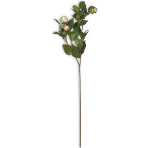 28" White 5 Bud Peony Stem