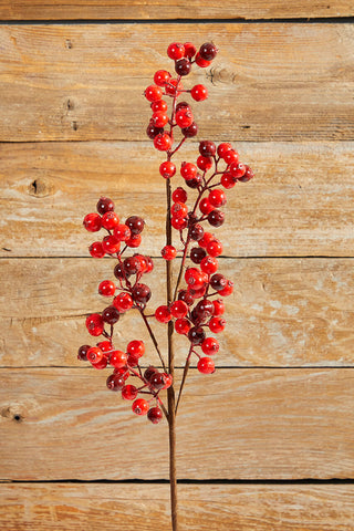 26" WP Mini Berry/Cranberry Spray