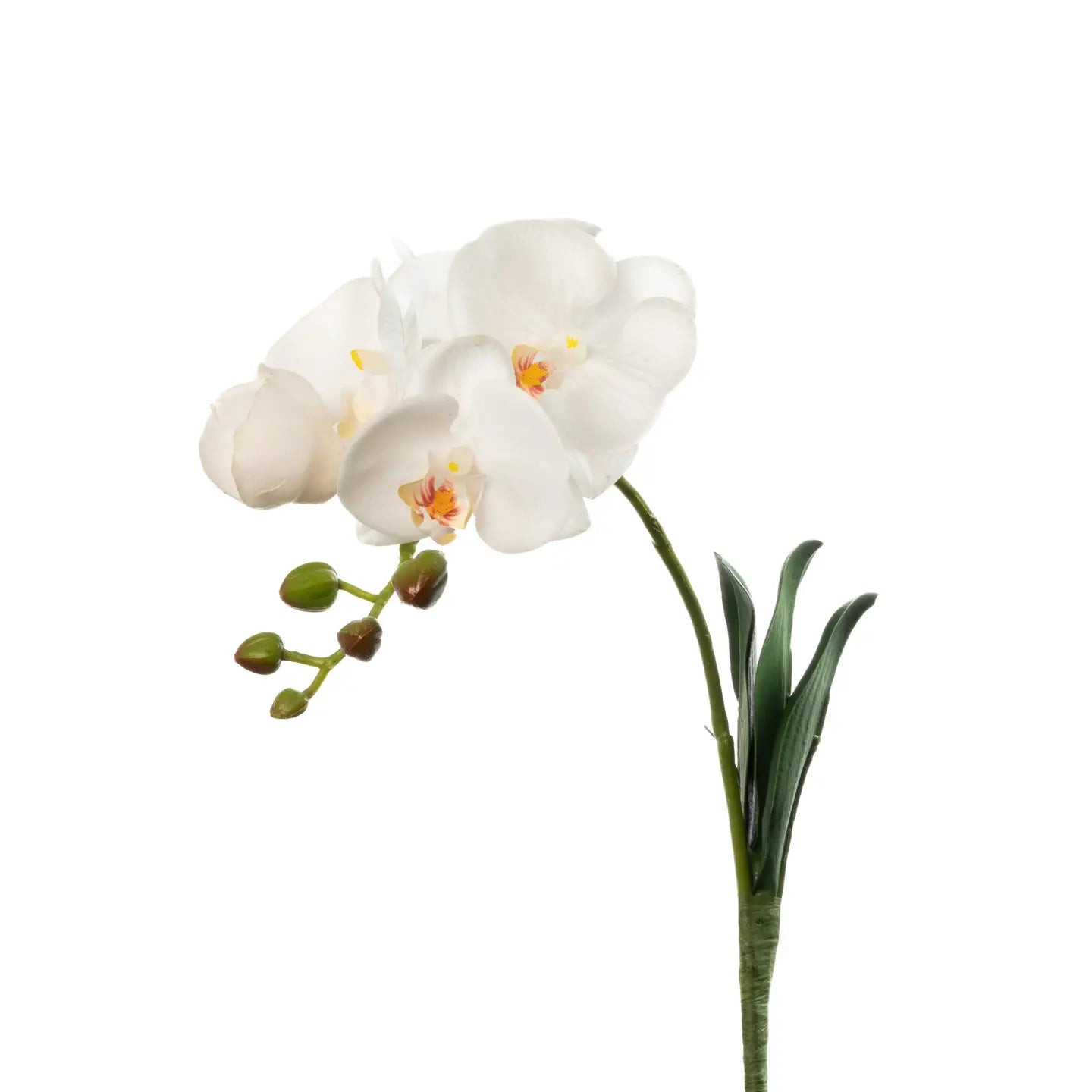 Real Touch Phalaenopsis Orchid - White - 15 Inch