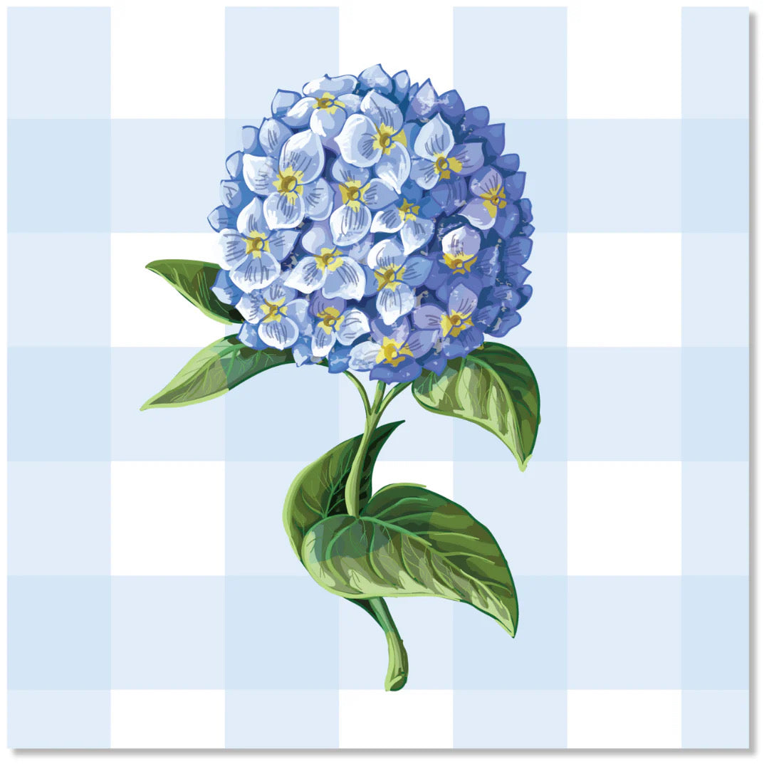 Blue Gingham + Hydrangea  Enclosure Cards