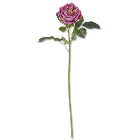 24" Dark Purple Real Touch Austin Rose Stem