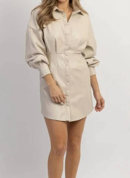 Gisele Faux Leather Mini Dress