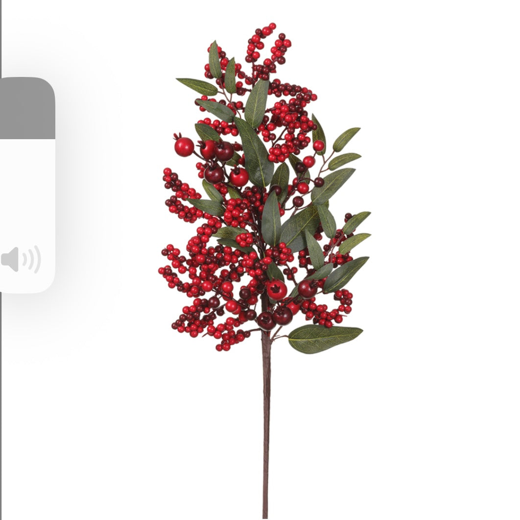 26" Berry/Rosehip Spray