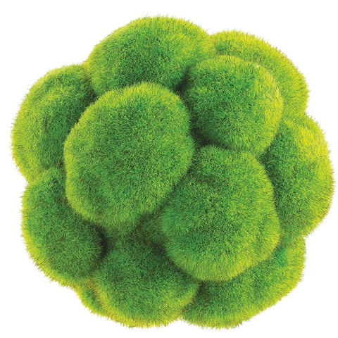 5" Moss Ball