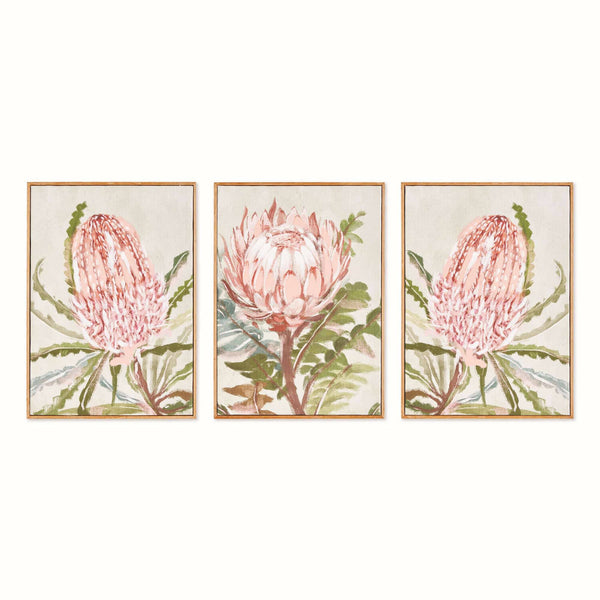 Queen Protea Giclees