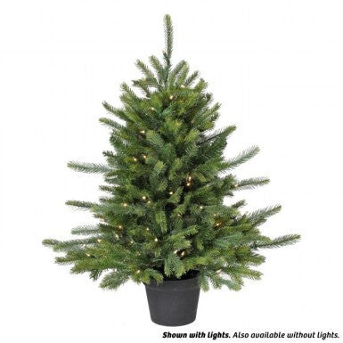 Lit Ptd Telluride Fir Tree