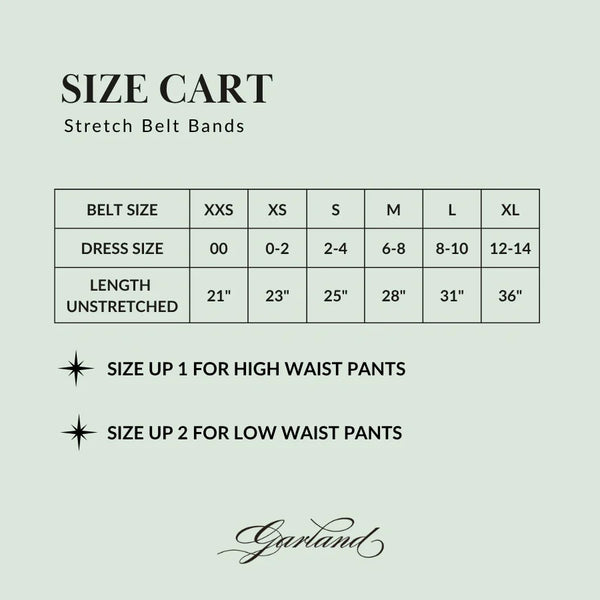 Dark Brown Interchangeable Stretch Band Belt