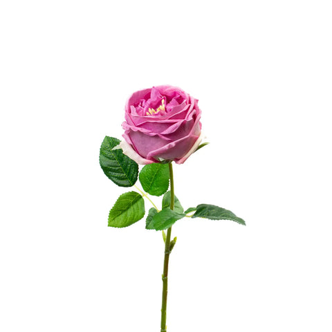 Real Touch 17" English Rose - Mauve