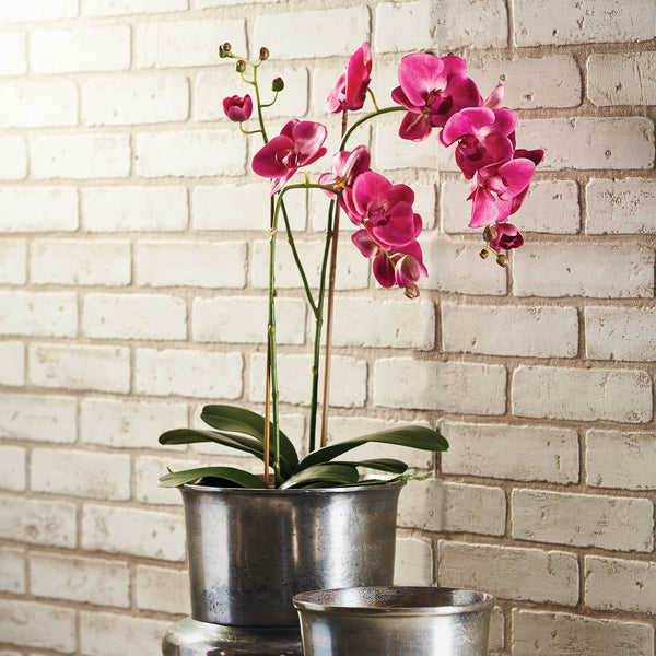 Phalaenopsis Orchid X 2 Drop-In 29"