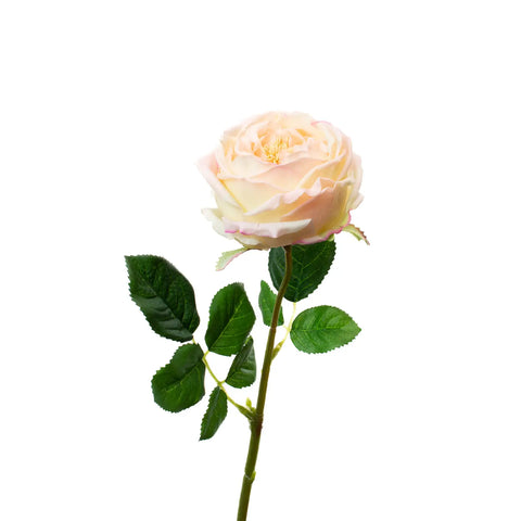 Real Touch 17" English Rose - Blush Pink