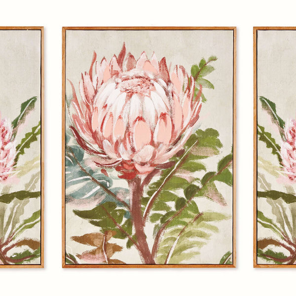 Queen Protea Giclees