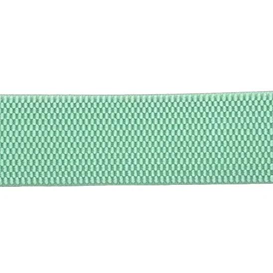 Aqua Interchangeable Stretch Belt Band