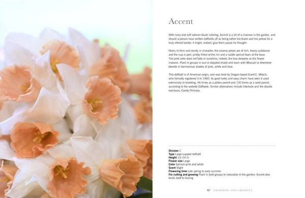 Daffodils: Beautiful Varieties For Home and Garden Book