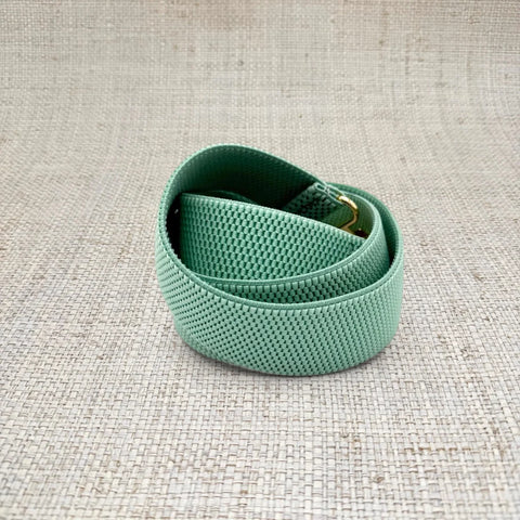 Aqua Interchangeable Stretch Belt Band
