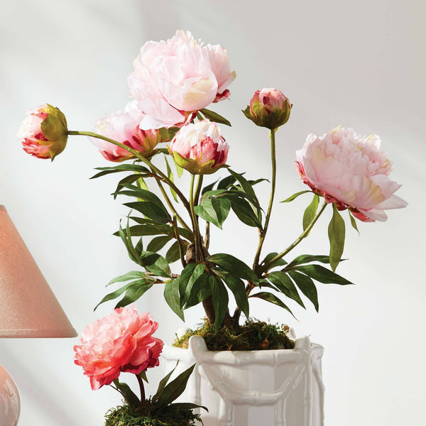 Peony Potted Drop-In 18" - Light Pink