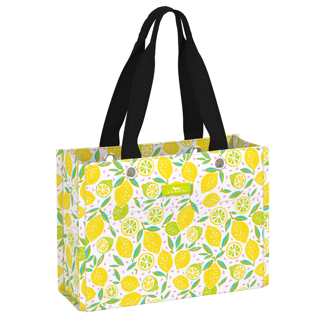 Tiny Package Gift Bag | Lemoncello