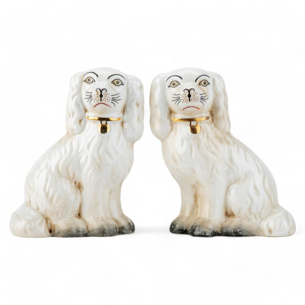 Staffordshire Small Dog | White