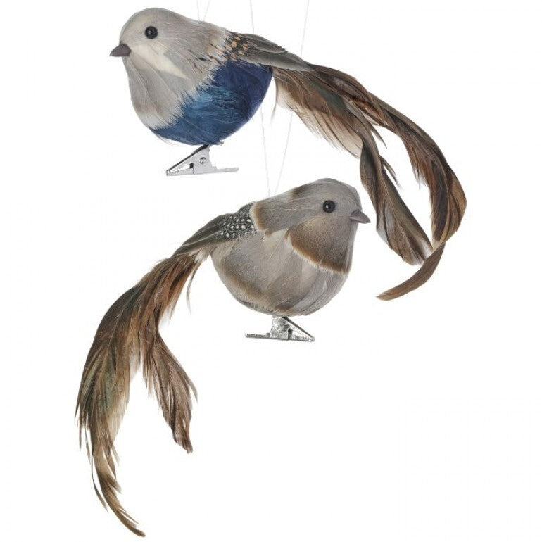 4" Feather Long Tail Quail Clip On Ornament