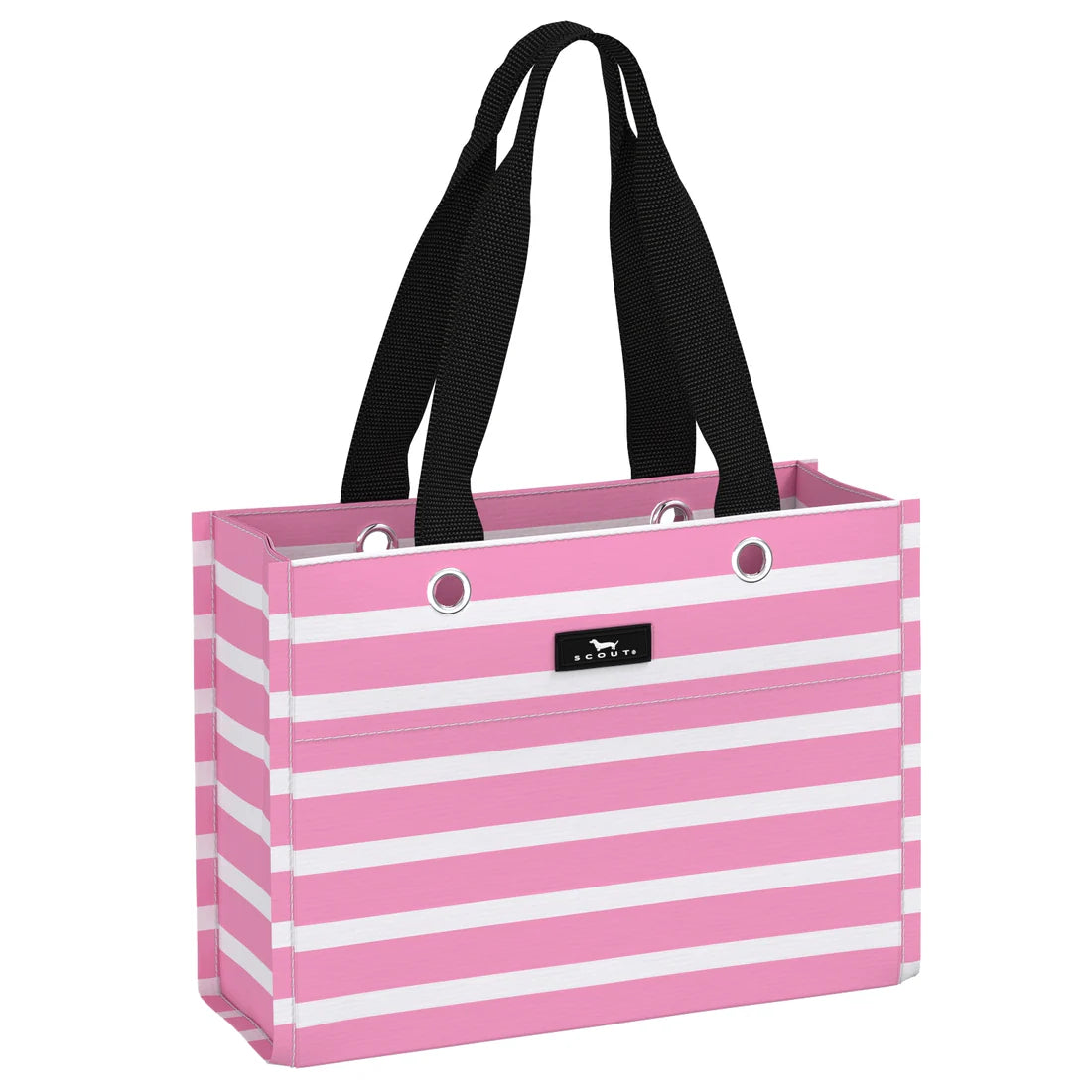 Tiny Package Gift Bag | Palmetto Pink