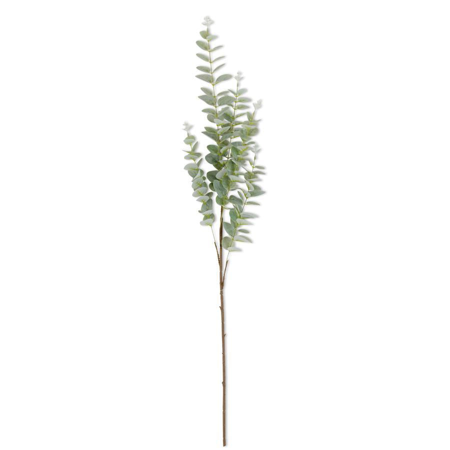 38" Light Green Gunnii Eucalyptus Stem