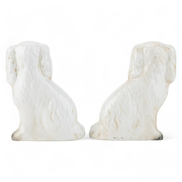 Staffordshire Small Dog | White