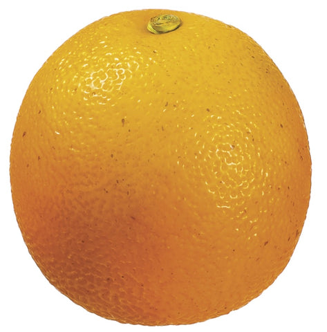 2.5" Weighted Tangerine