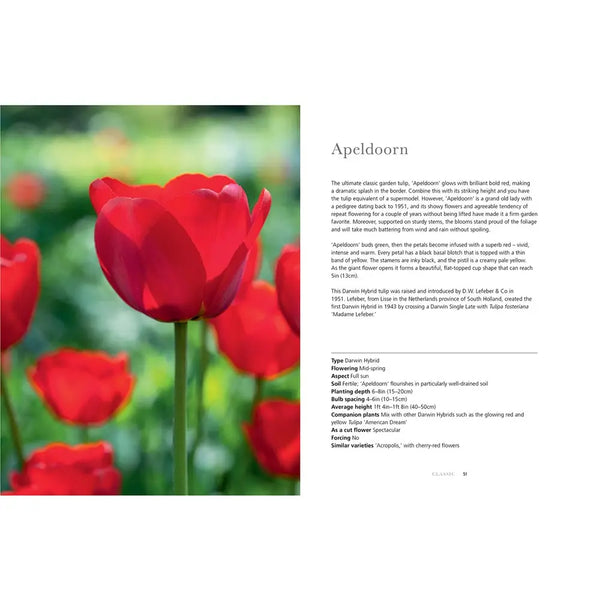 Tulips: Beautiful Varieties For Home and Garden Book