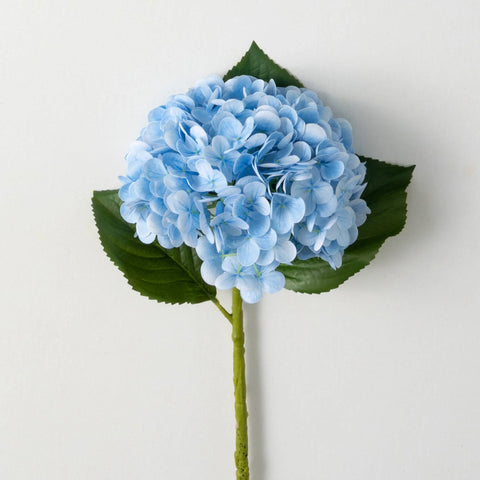 Freshcut® Fresh Vivid Blue Spring Hydrangea Stem