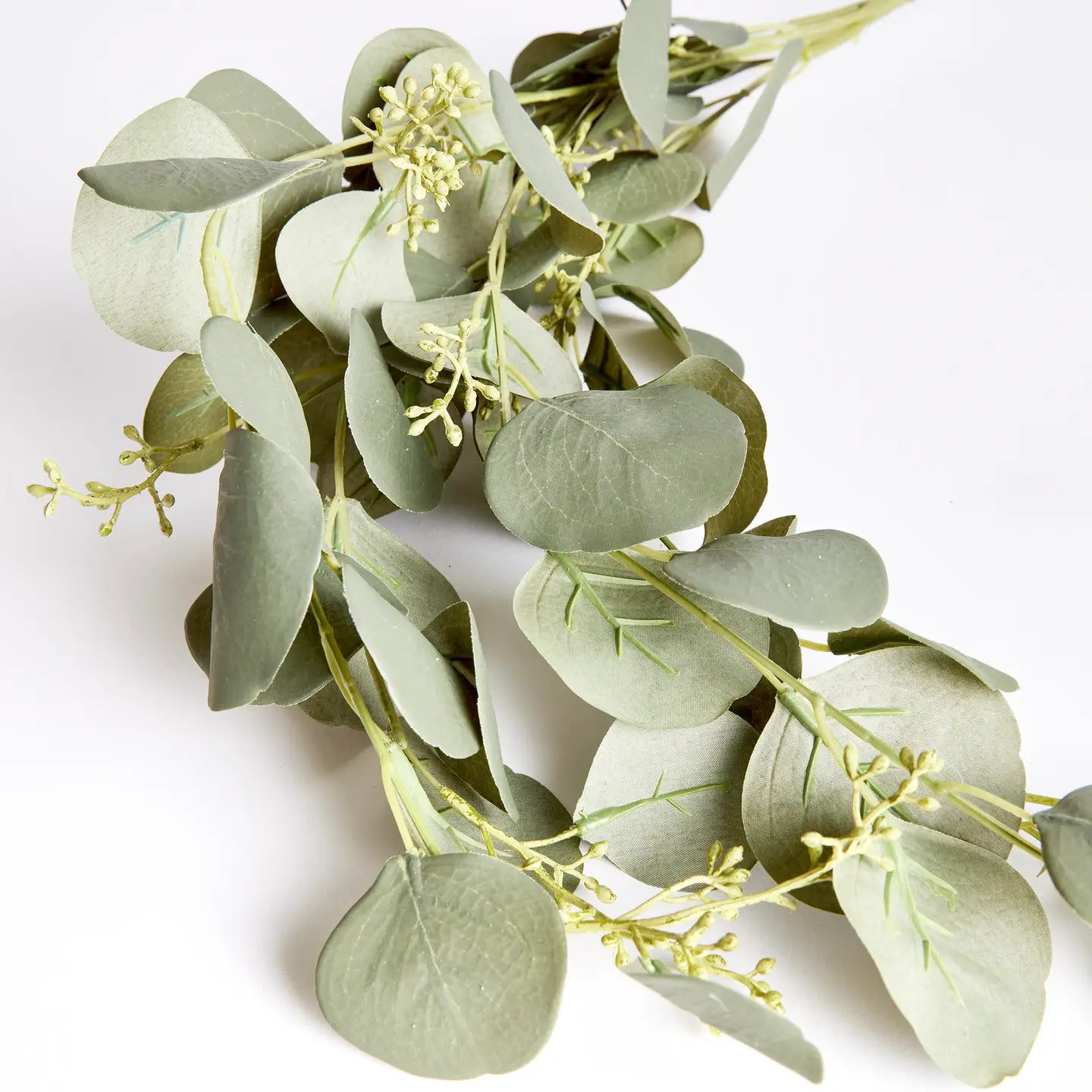 Silver Dollar Eucalyptus Spiller Stem