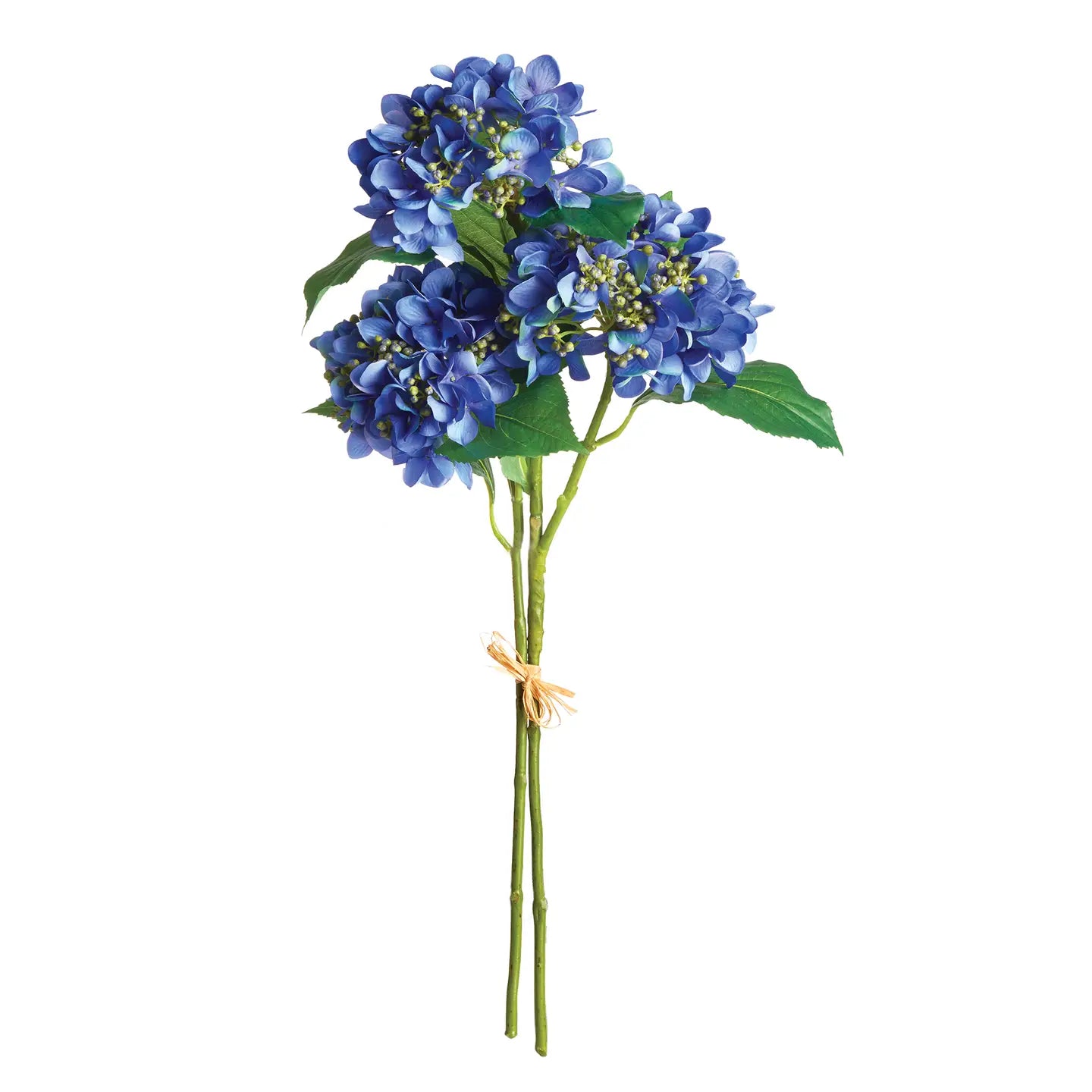 Hydrangea Stems