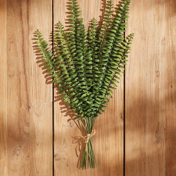 Fern Stems