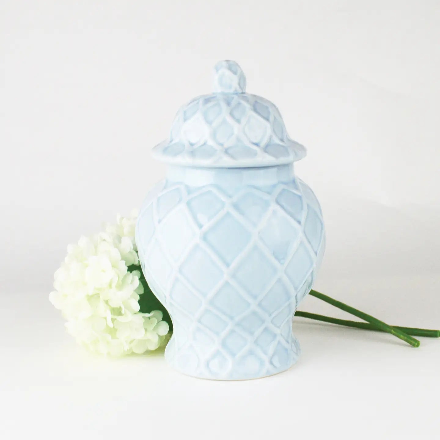 Barely Blue Lattice Ginger Jar - Small