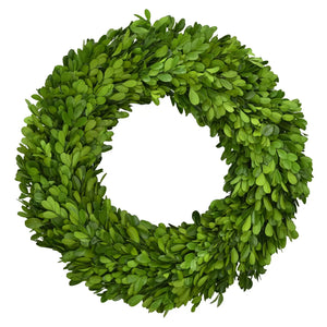 14" Preserved Boxwood Wreath