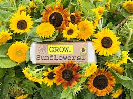 Sunflower Garden Kit