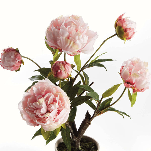 Peony Potted Drop-In 18" - Light Pink