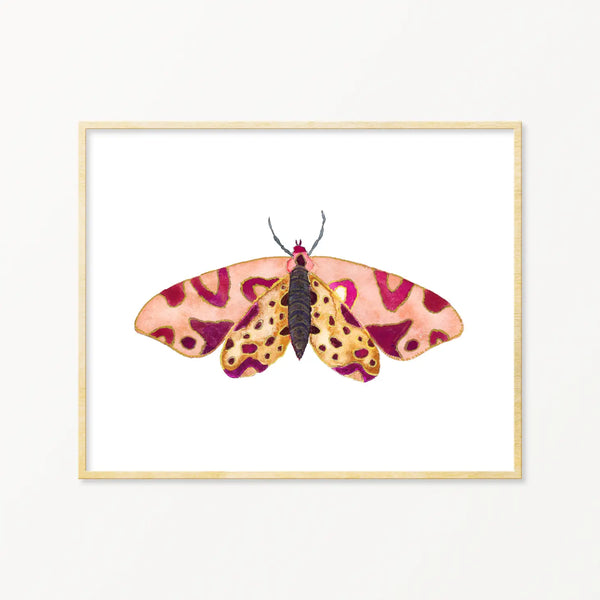 Moth #14 Framed Art Print