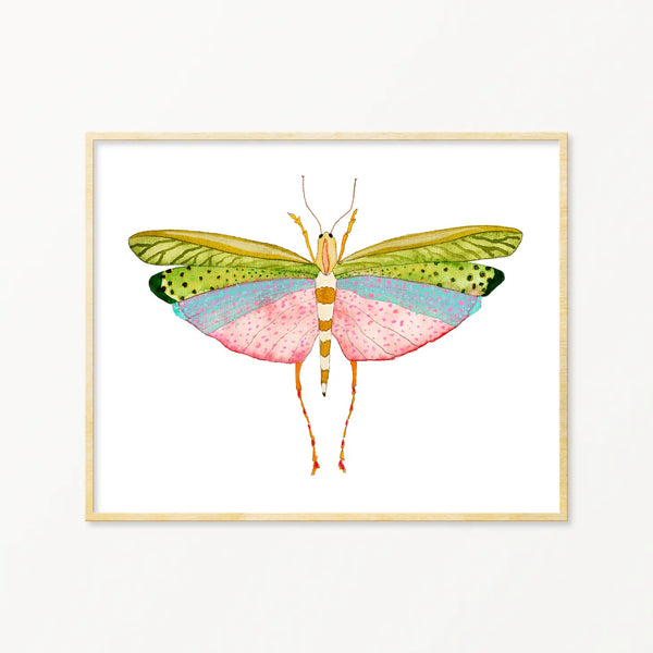 Grasshopper #1 Framed Art Print