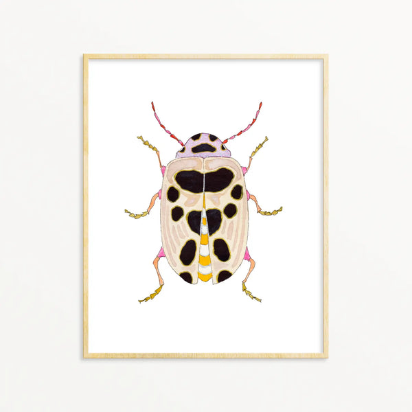 Beetle #28 Framed Art Print