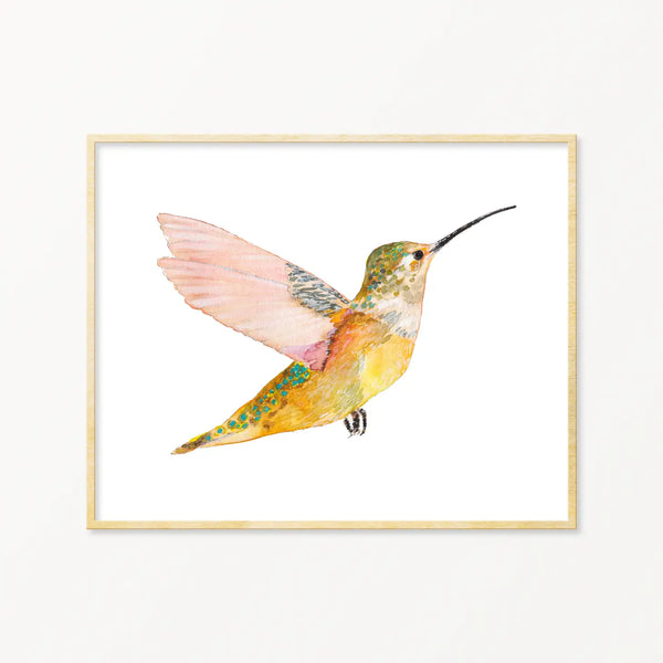 Rofous Hummingbird Framed Art Print