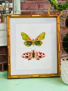 2 Moth's #5 Framed Art Print