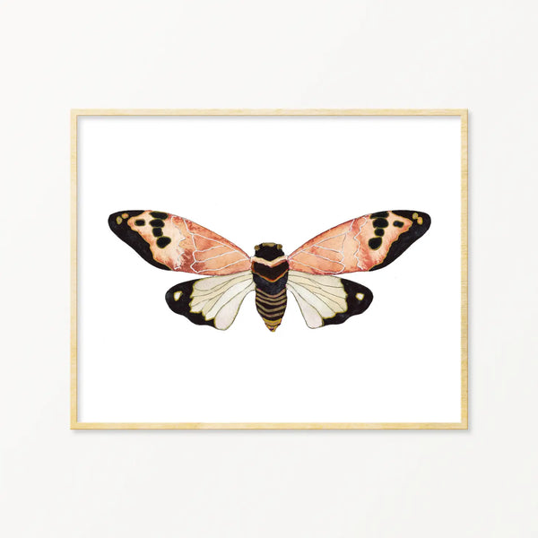 Lone Cicada No. 1 Framed Art Print