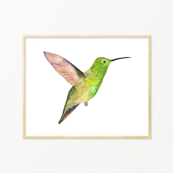 Berylline Hummingbird Framed Art Print