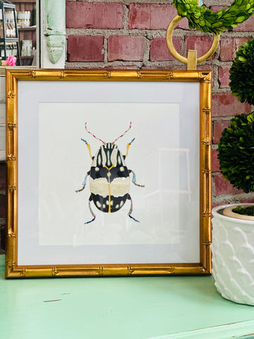 Beetle #12 Framed Art Print