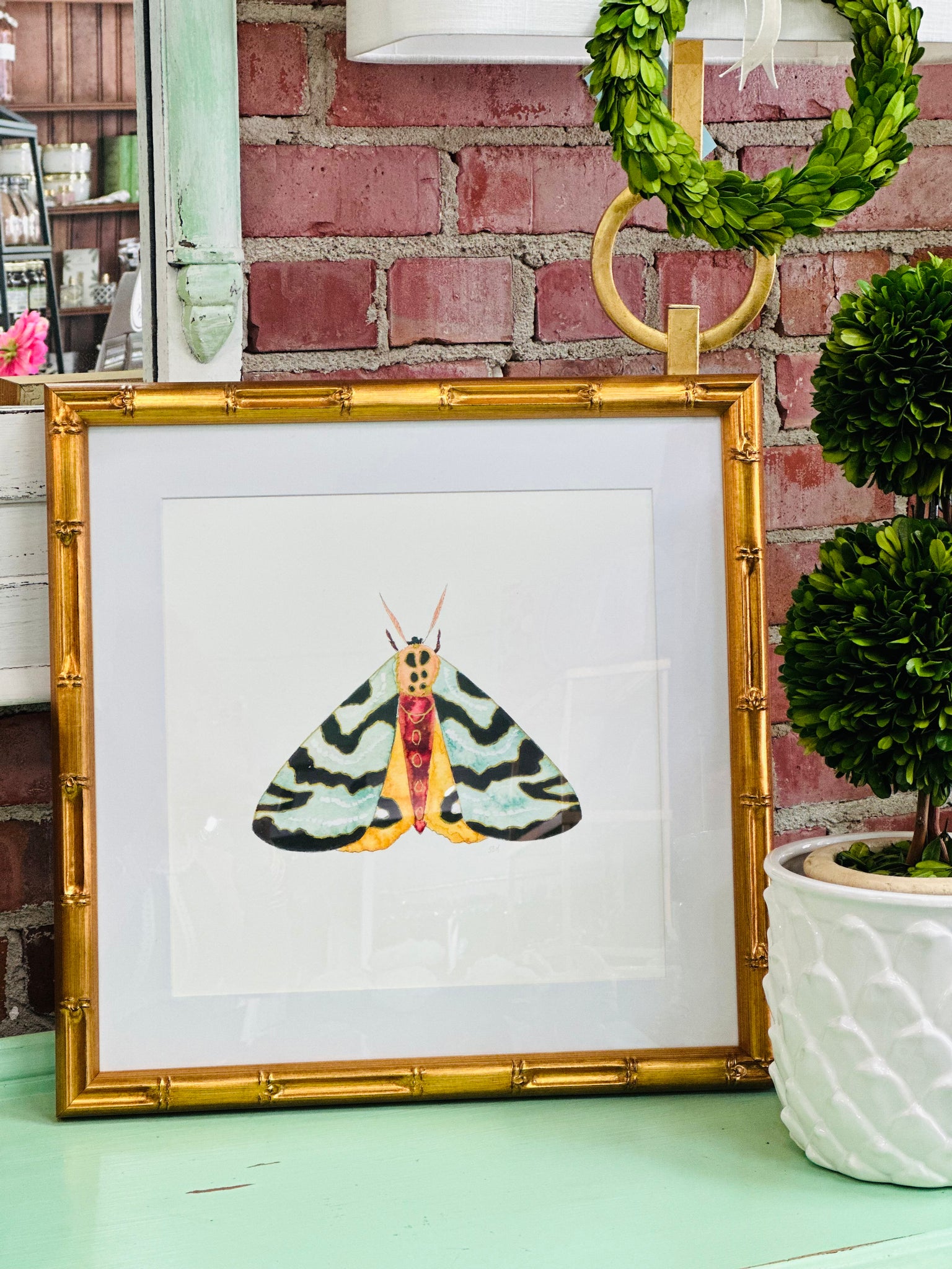 Moth #11 Framed Art Print