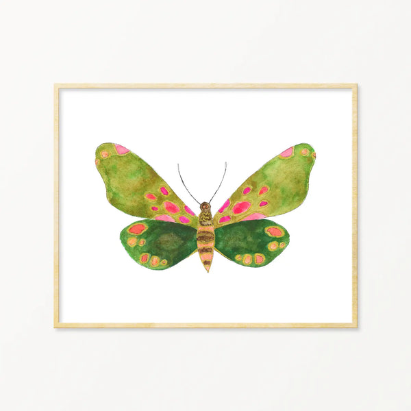 Moth #13 Framed Art Print