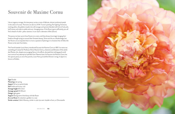 Peonies: Beautiful Varieties For Home & Garden Book